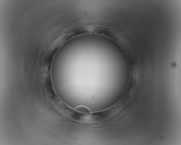 X0000114010611200910021343