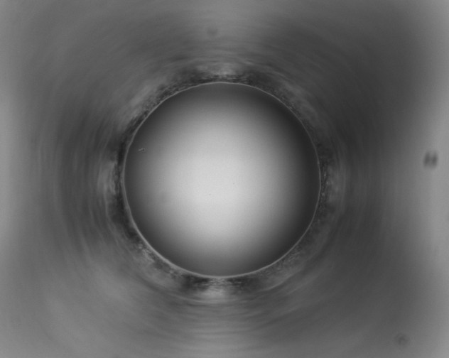 X0000114010612200910021343