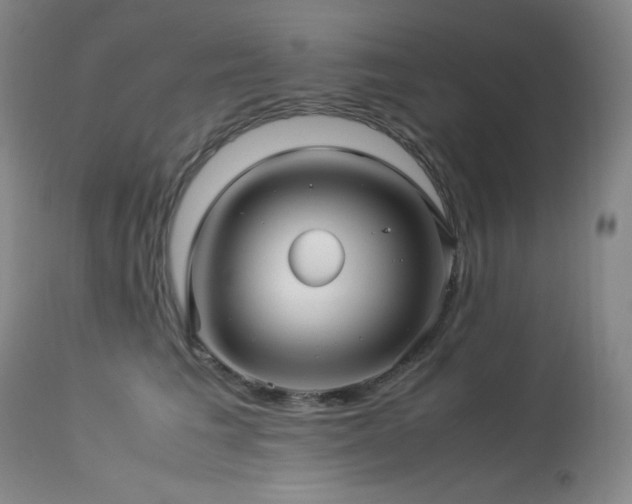 X0000114010613200910021343