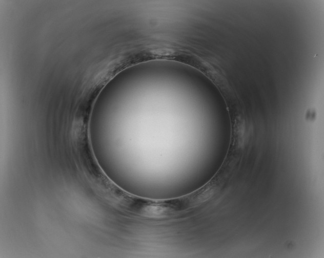 X0000114010614200910021343