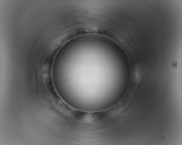 X0000114010616200910021343