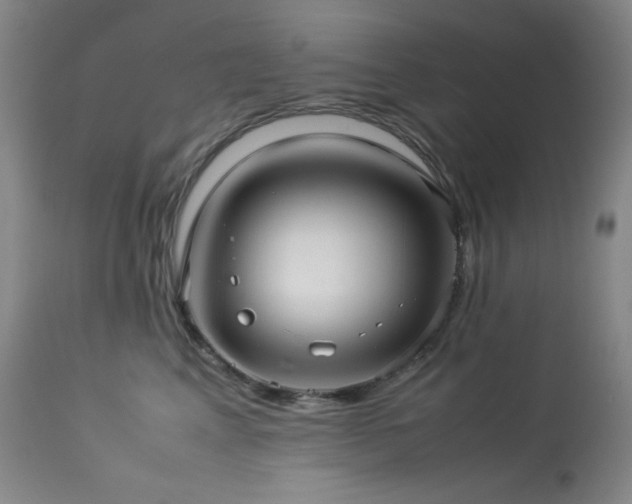X0000114010617200910021343