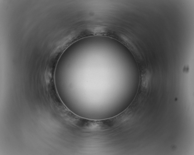 X0000114010618200910021343
