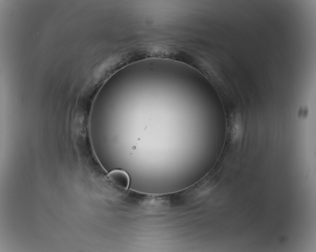 X0000114010619200910021343