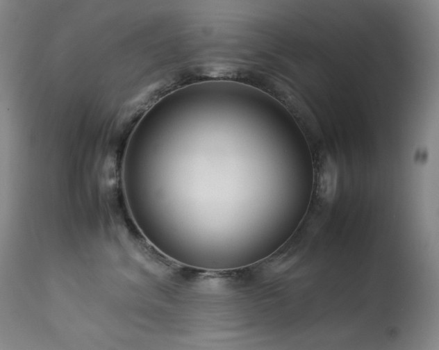 X0000114010620200910021343