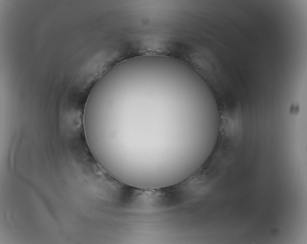 X0000114010621200910021343