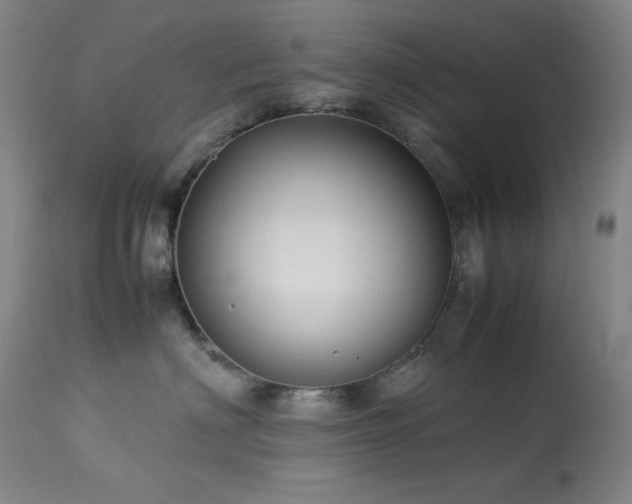 X0000114010622200910021343