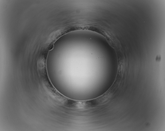 X0000114010623200910021343
