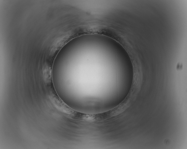 X0000114010624200910021343