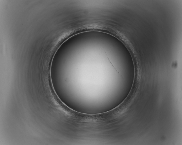 X0000114010625200910021343