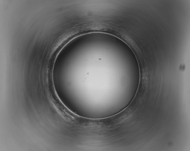 X0000114010626200910021343