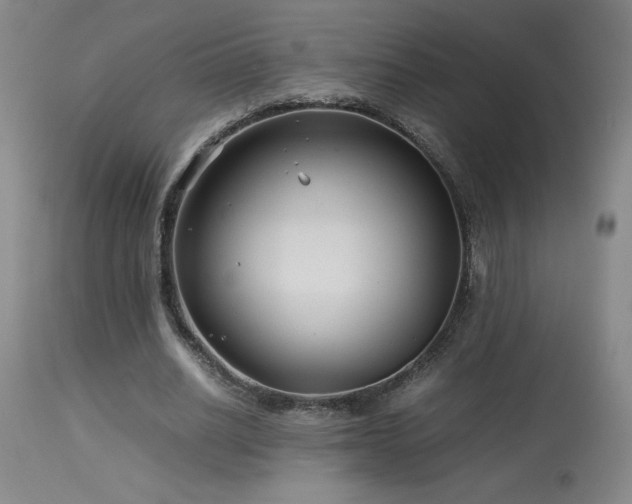 X0000114010630200910021343