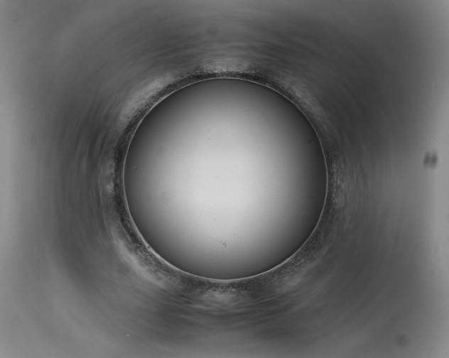 X0000114010631200910021343