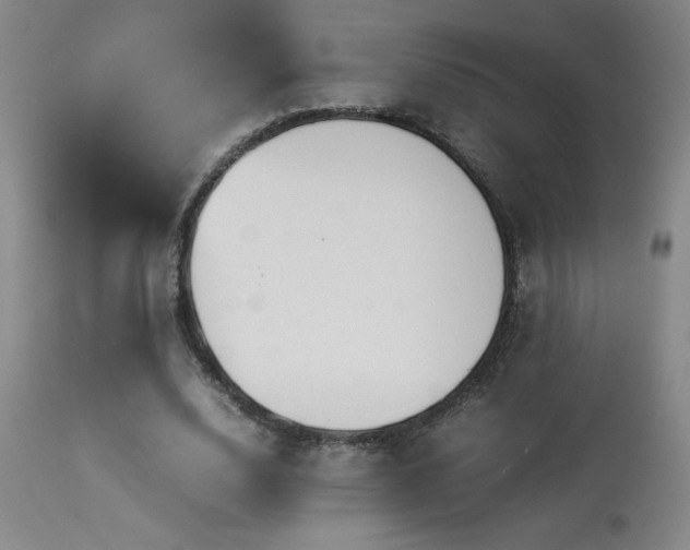 X0000114010632200910021343