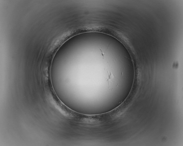 X0000114010633200910021343