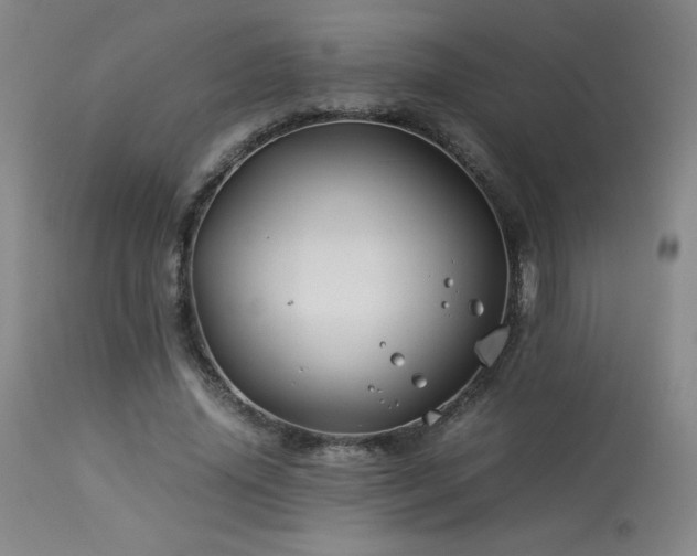 X0000114010636200910021343