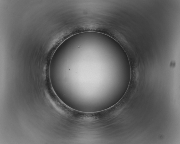 X0000114010638200910021343