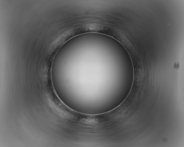 X0000114010639200910021343
