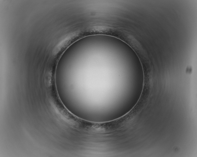 X0000114010640200910021343