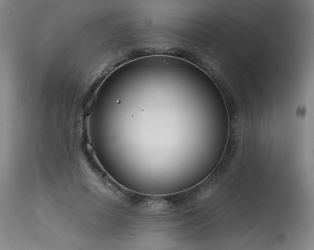 X0000114010642200910021343