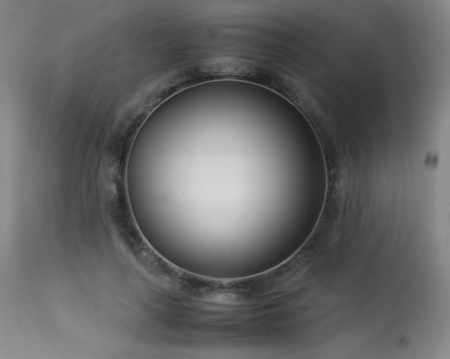 X0000114010643200910021343