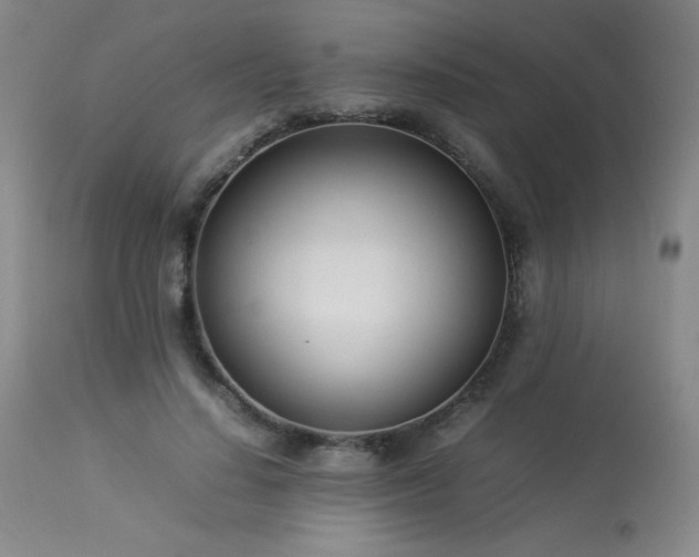 X0000114010644200910021343