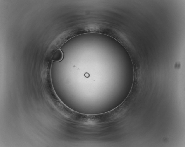 X0000114010645200910021343