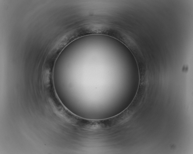 X0000114010646200910021343