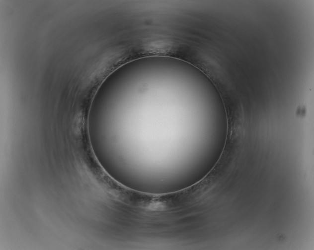 X0000114010647200910021343