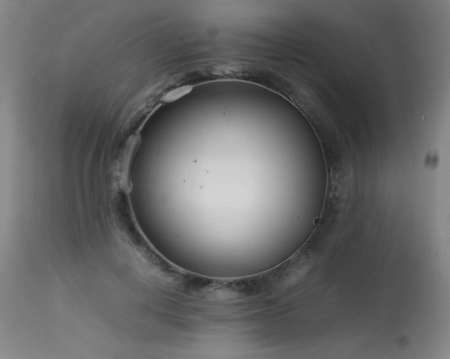 X0000114010648200910021343