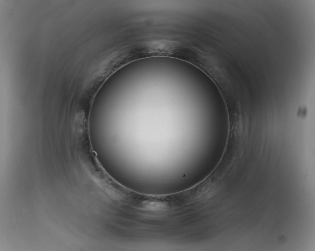 X0000114010649200910021343
