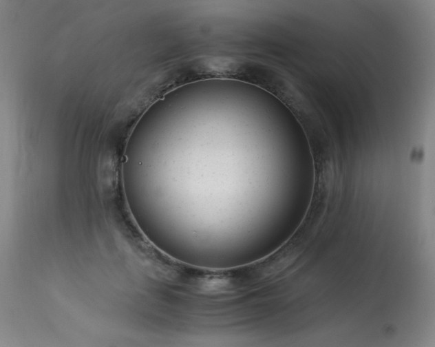 X0000114010651200910021343