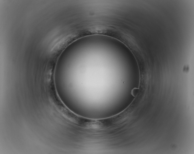 X0000114010652200910021343