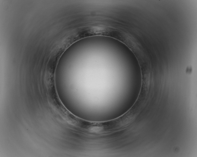 X0000114010653200910021343