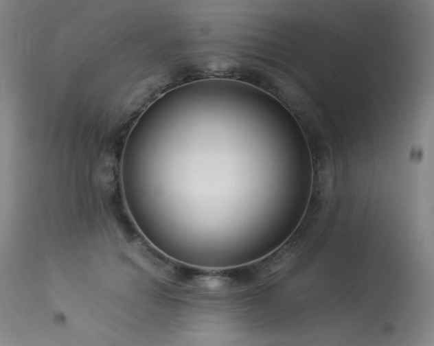 X0000114010654200910021343