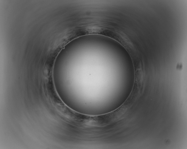 X0000114010655200910021343