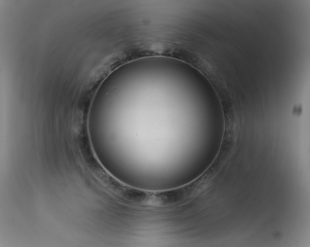 X0000114010656200910021343