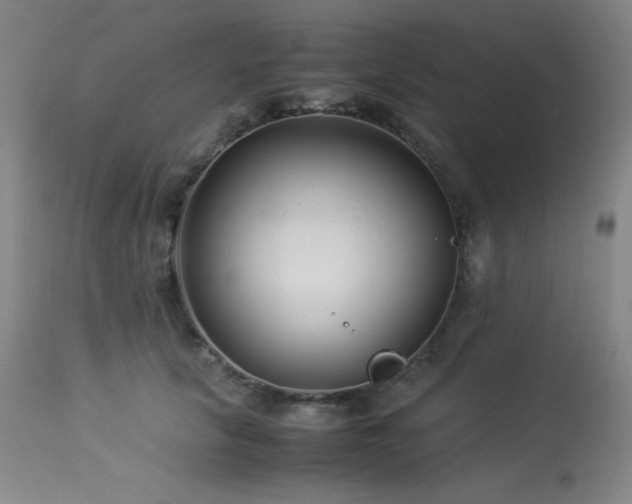 X0000114010657200910021343