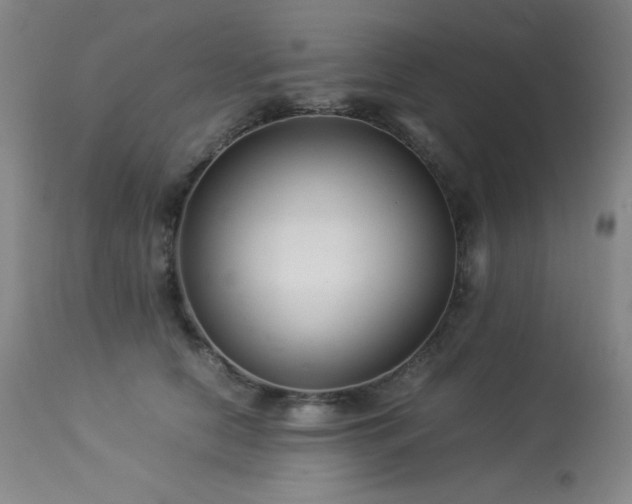 X0000114010658200910021343