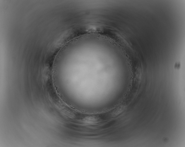 X0000114010659200910021343