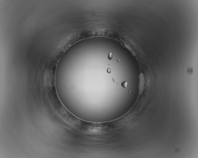 X0000114010661200910021343