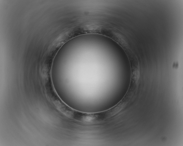 X0000114010662200910021343
