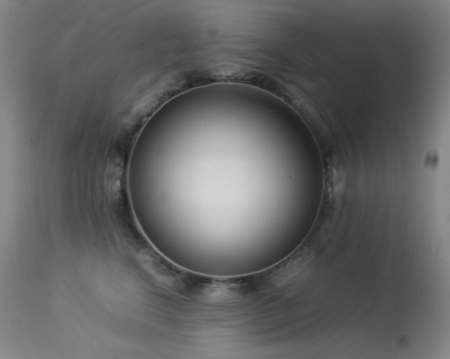 X0000114010664200910021343