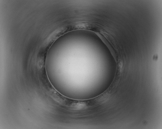 X0000114010665200910021343