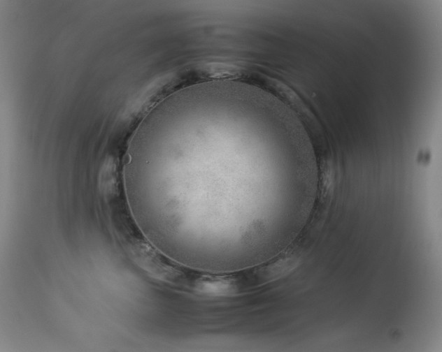 X0000114010667200910021343