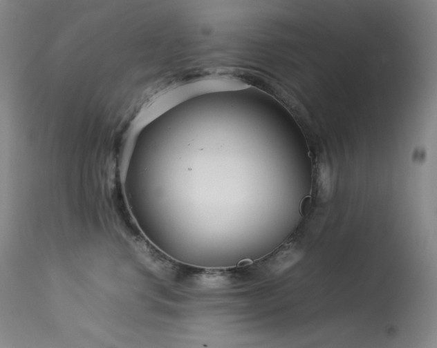 X0000114010668200910021343