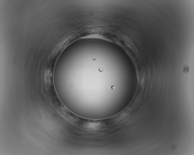 X0000114010669200910021343