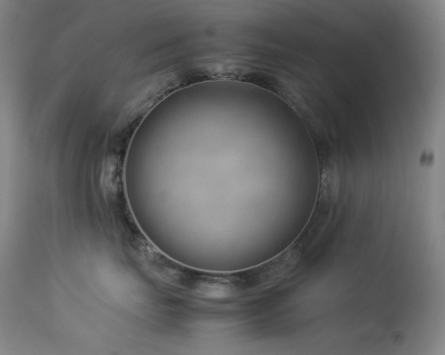 X0000114010671200910021343