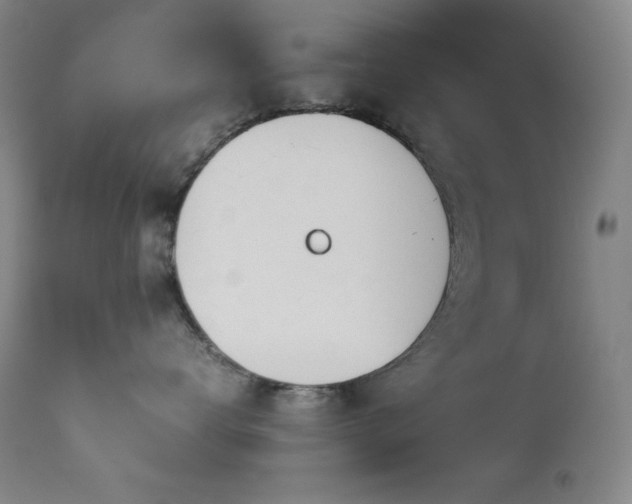 X0000114010672200910021343