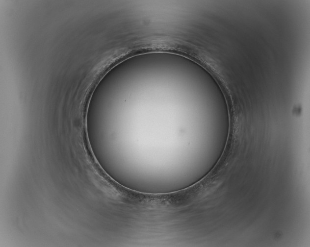 X0000114010673200910021343